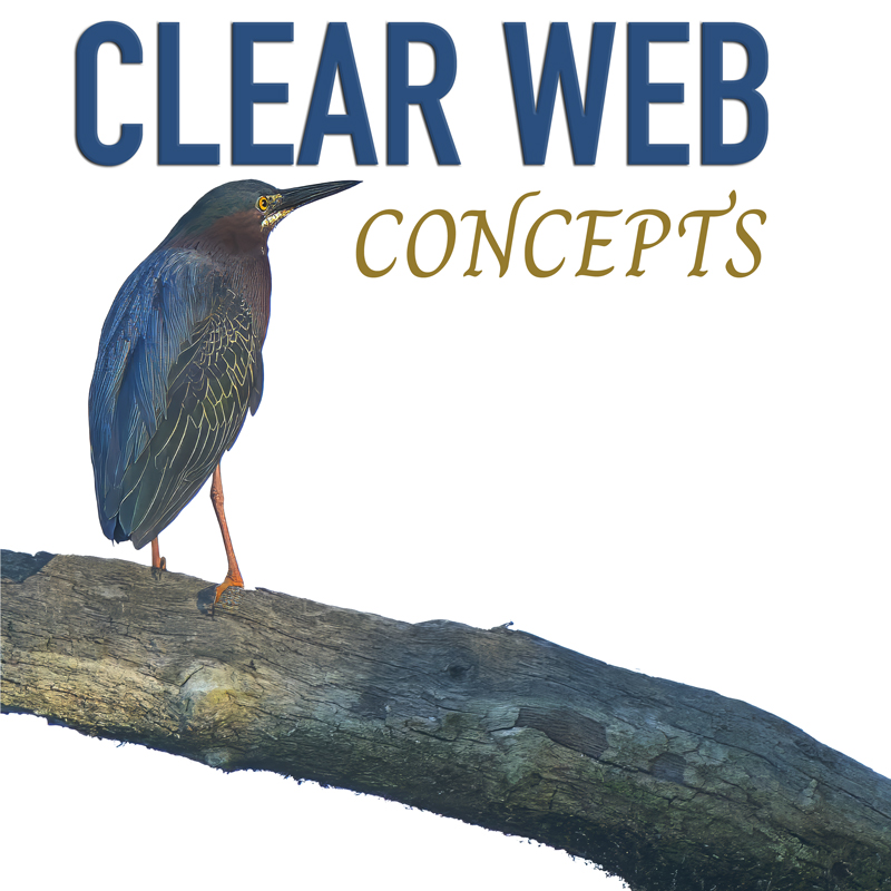 Clear Web Concepts Logo